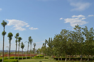 蓝天绿树间的美丽景致