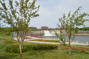 湖畔绿植环绕的美丽景致