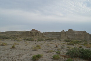 荒漠中的奇特土丘景观