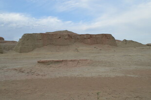 荒凉沙漠中的奇特土丘