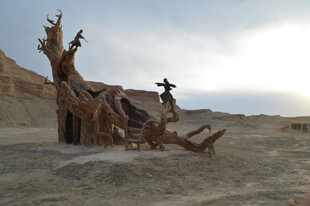 沙漠中的奇特木质雕塑