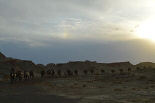 沙漠中的古老建筑遗迹