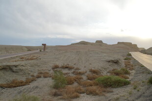沙漠中的稀疏植被与行人