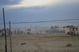 油田景观 抽油机林立