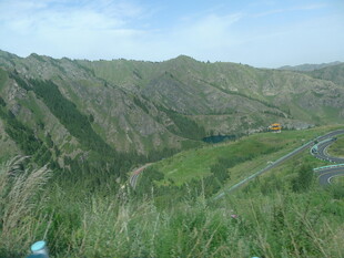 山间公路旁的葱郁草地