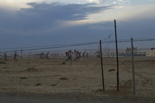 黄昏下的沙滩人群景象