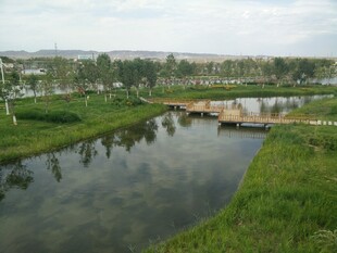 河畔风光 绿意盎然的景致