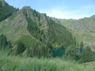 山间幽湖伴葱郁林木