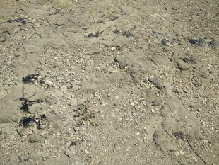 沙滩上的脚印与碎石