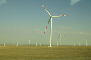 草原上的风力发电机组