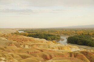 壮丽河谷沙漠景观