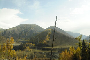 秋日山林间的壮美山景
