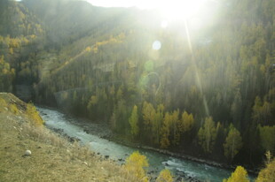 山间河流与茂密森林景观