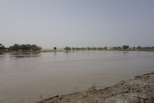 宽阔河岸旁的平静水域