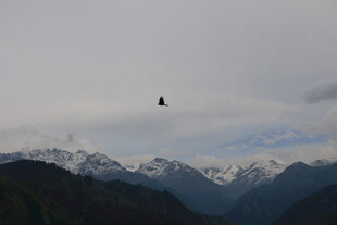 高山上空的飞行物
