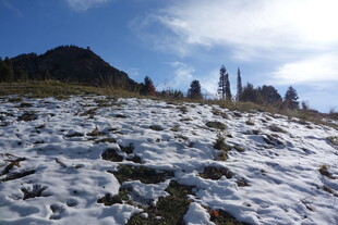 雪覆山坡的壮丽自然景观