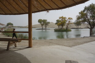 湖畔凉亭下的静谧景致