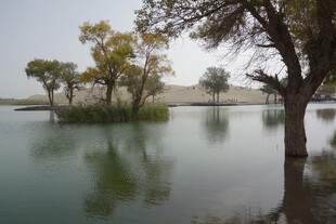 湖畔树木倒映的静谧风光