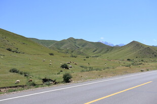 公路穿行于绿意盎然山间