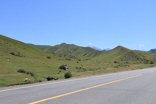 山间公路 开启自由之旅