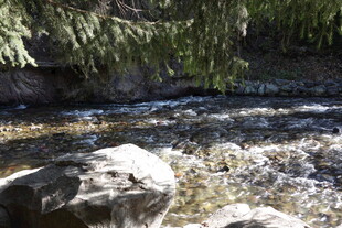 山间溪流潺潺与岩石