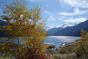 湖畔秋景 远山与金黄树木