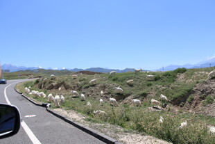 公路风景 开阔自然之旅