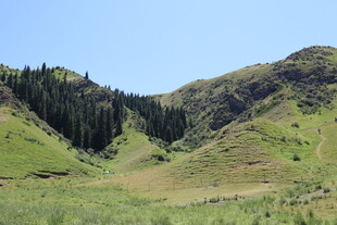 山间绿意盎然的美丽景致