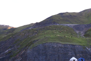山间美景现 露营好地方