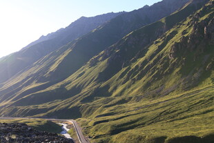 山间公路 绿意盎然的景致