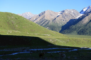 山间绿野与远处雪山美景