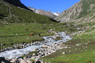 山间溪流旁的美丽自然景