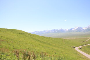 草原之路 远山相伴