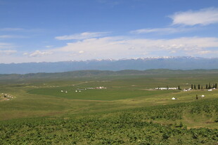广袤绿野与远山蓝天美景
