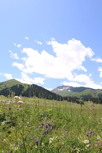 山间草地 蓝天白云美景