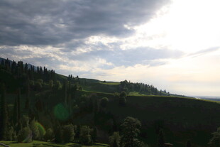 山间云景 绿意盎然