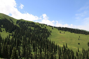 青山翠林间的秀丽风光