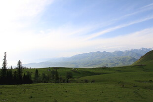 草原风光与远处山峦