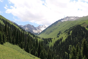 青山翠谷间的秀丽风光