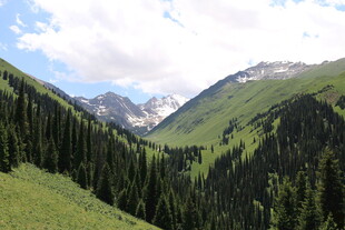 青山翠谷间的壮丽山景