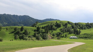 山间绿野中的蜿蜒小路