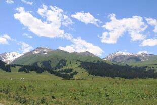 蓝天白云下的翠绿山峦