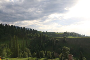 山间葱郁树林与多云天空