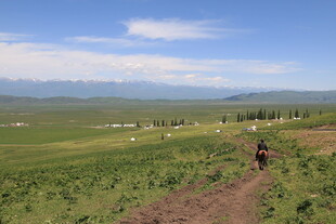 草原徒步者 辽阔美景相伴