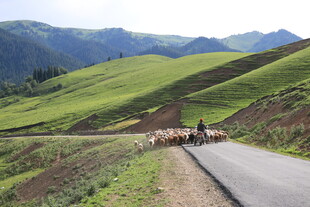 山间公路上的骑行者