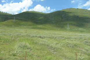广袤草原与远处青山