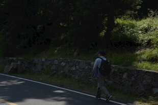 公路旁行走的背包客