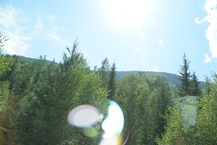 阳光照耀下的葱郁山林