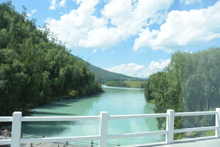 河畔美景 绿树与蓝天相映