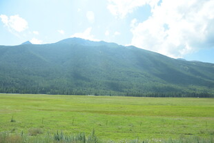 广袤绿野与叠翠山峦